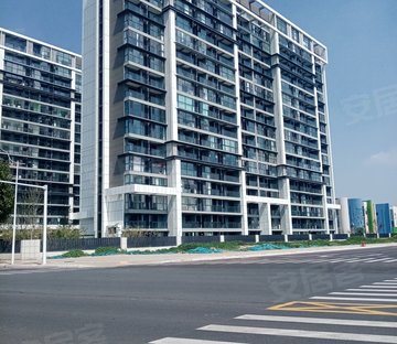 大正水晶森林1期