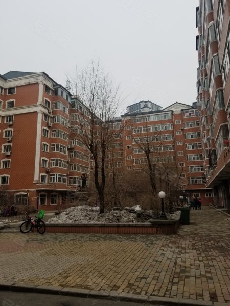 丁香园,中山路172号-哈尔滨丁香园二手房,租房,房价-哈尔滨安居客
