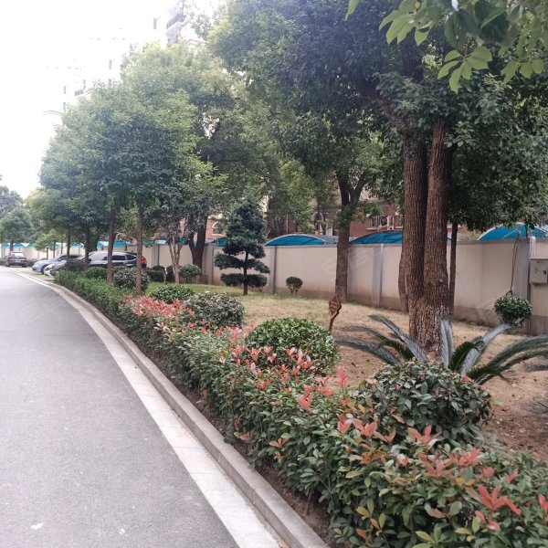 金融街壹号,黄浦大街-武汉金融街壹号二手房,租房,房价-武汉安居客