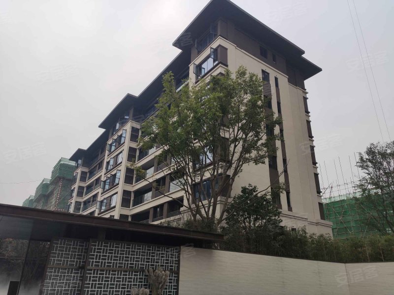 金科礼悦东方,玉带路91号-重庆金科礼悦东方二手房,租房,房价-重庆
