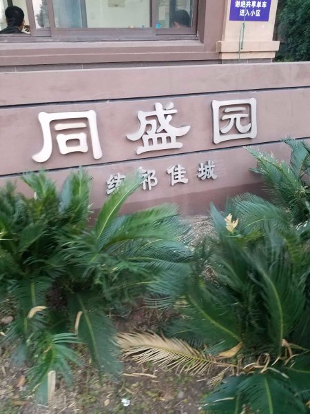 同盛园练祁佳城 