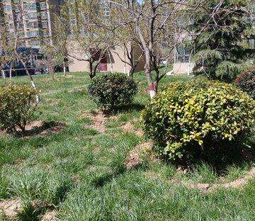 中信凤凰城别墅(安鑫苑)