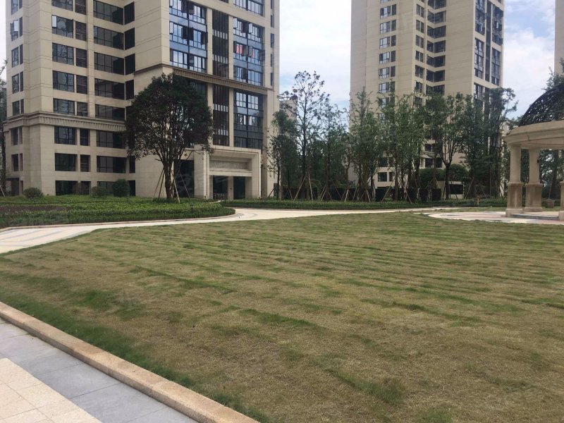 中渝香奈公馆,新溉大道99号-重庆中渝香奈公馆二手房,租房,房价-重庆