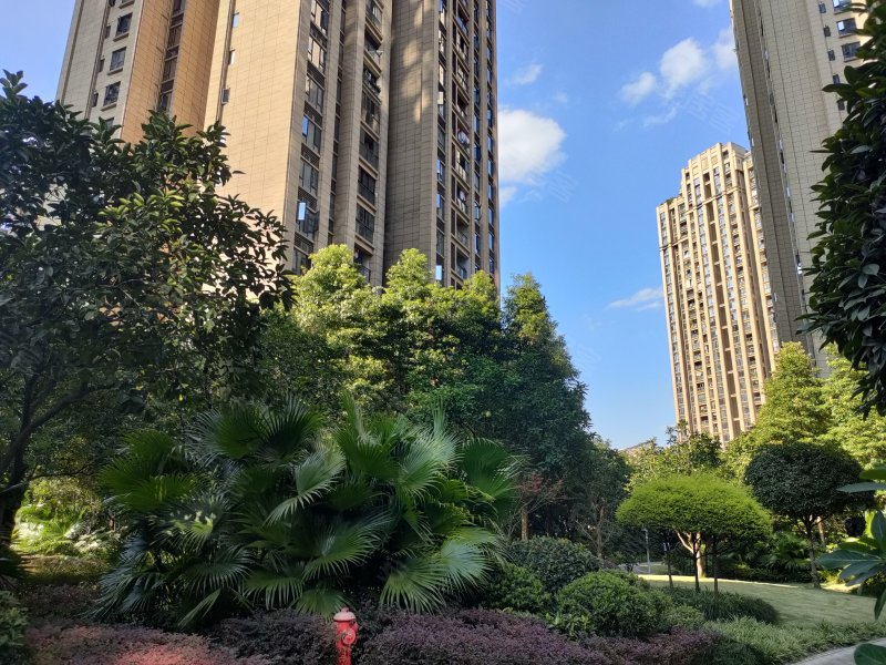 金茂珑悦(南区)