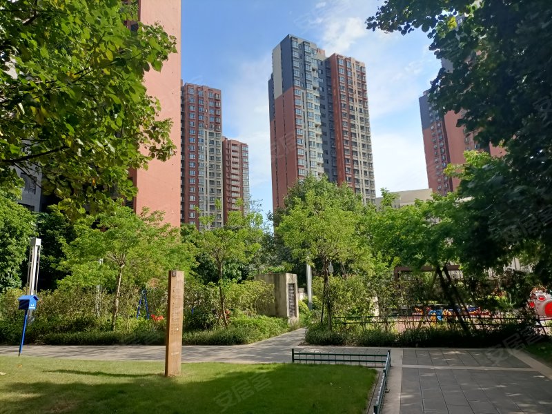 万科金悦香树,宏图路-东莞万科金悦香树二手房,租房,房价-东莞安居客