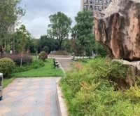 美罗家园美平苑 