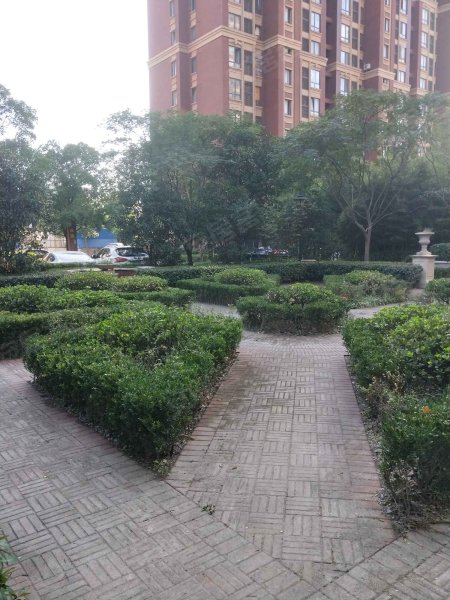 中星海上名豪苑(60弄) 