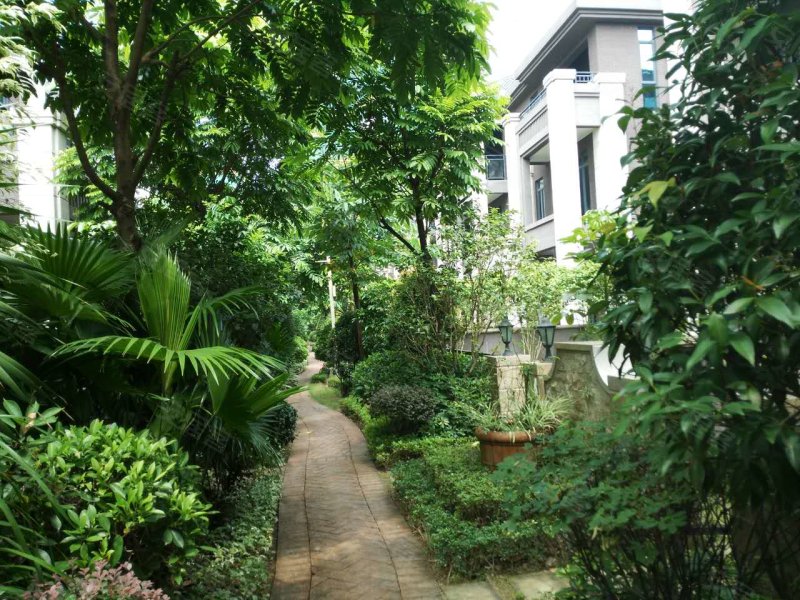 鼎峰国汇山(别墅)