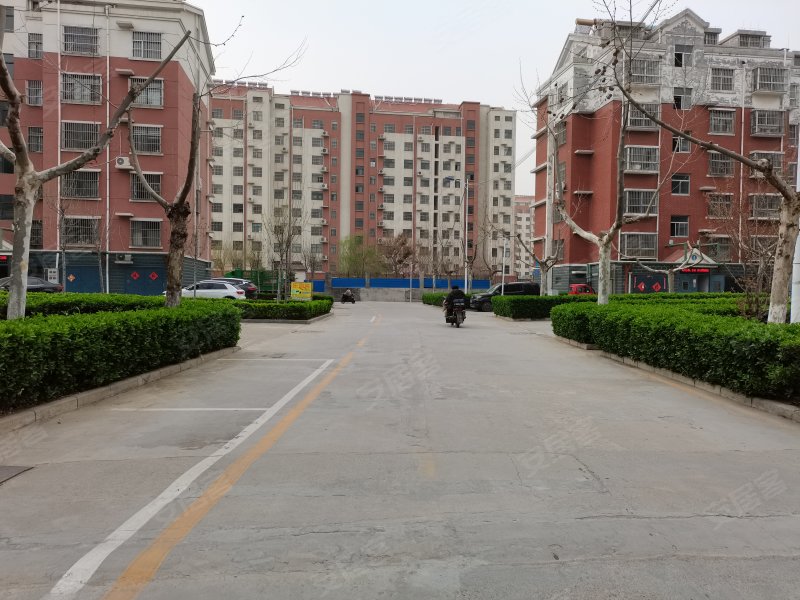 东付村社区,丰园北街