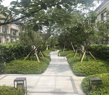 万科高第