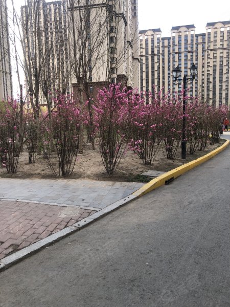 景程小区,纬二路-大庆景程小区二手房,租房,房价-大庆安居客