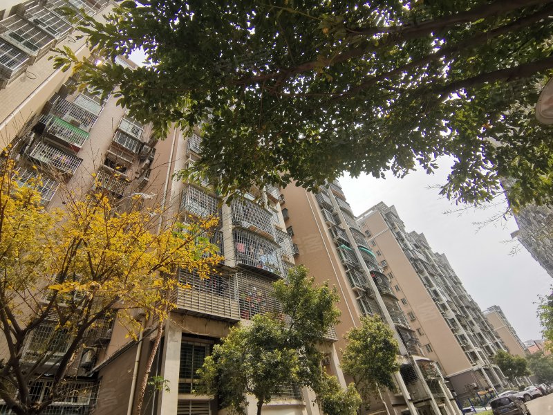 翔鹭花城三期,长浩二里1-65号-厦门翔鹭花城三期二手房,租房,房价