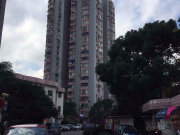 金杨公寓