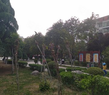 庄排路159号商务楼