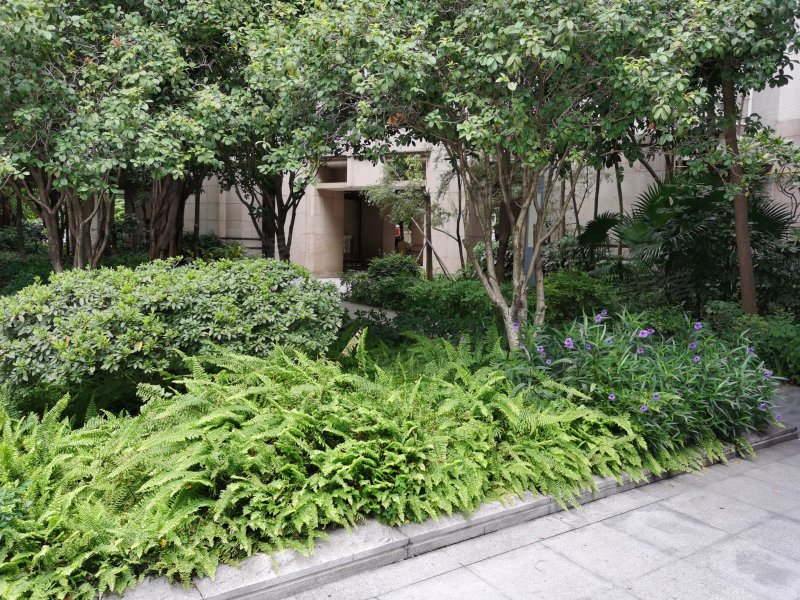 四季花园,花地大道中246号-广州四季花园二手房,租房,房价-广州安居客