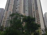 新世界小区图片