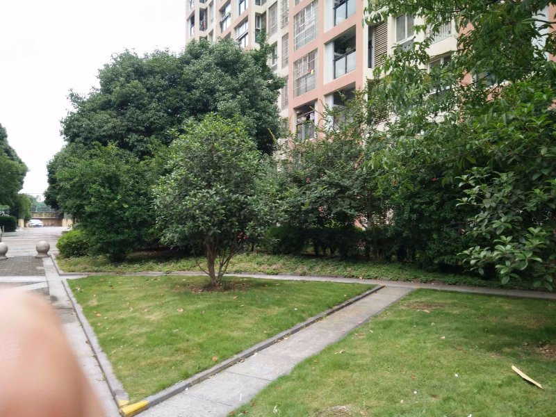 青年城1号,锦绣大道316号-孝感青年城1号二手房,租房,房价-孝感安居客