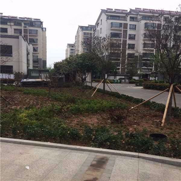 紫荆城,文化路-肥城紫荆城二手房,租房,房价-肥城安居客