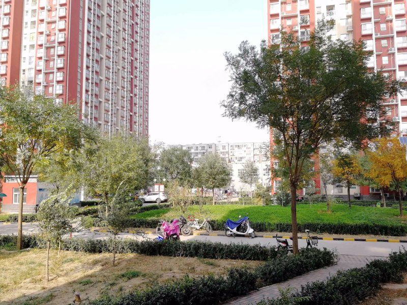 东安小区,仓顺路2号-达州东安小区二手房,租房,房价-达州安居客