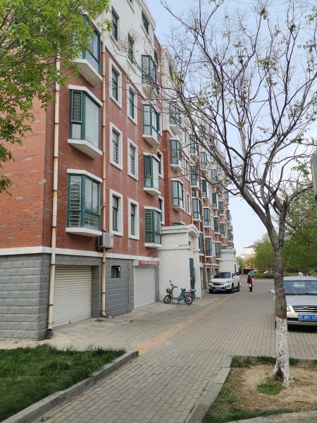 丽景国际(南区),大渡河路507号-东营丽景国际(南区)二手房,租房,房价