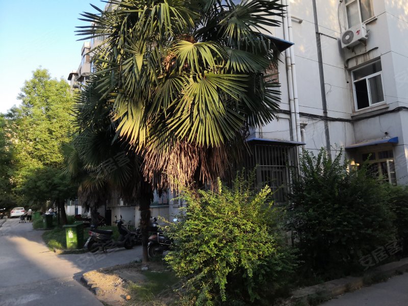 梅花园,菊园路-无锡梅花园二手房,租房,房价-无锡安居客