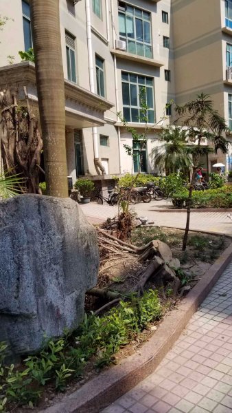 金海湾花园,情侣中路219号-珠海金海湾花园二手房,租房,房价-珠海安居