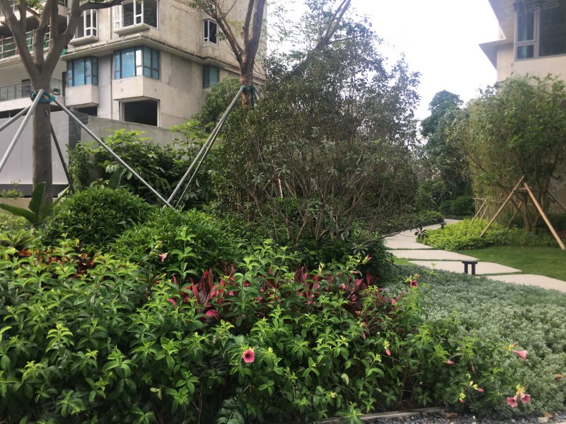 星合世家,汕尾大道-三亚星合世家二手房,租房,房价-三亚安居客