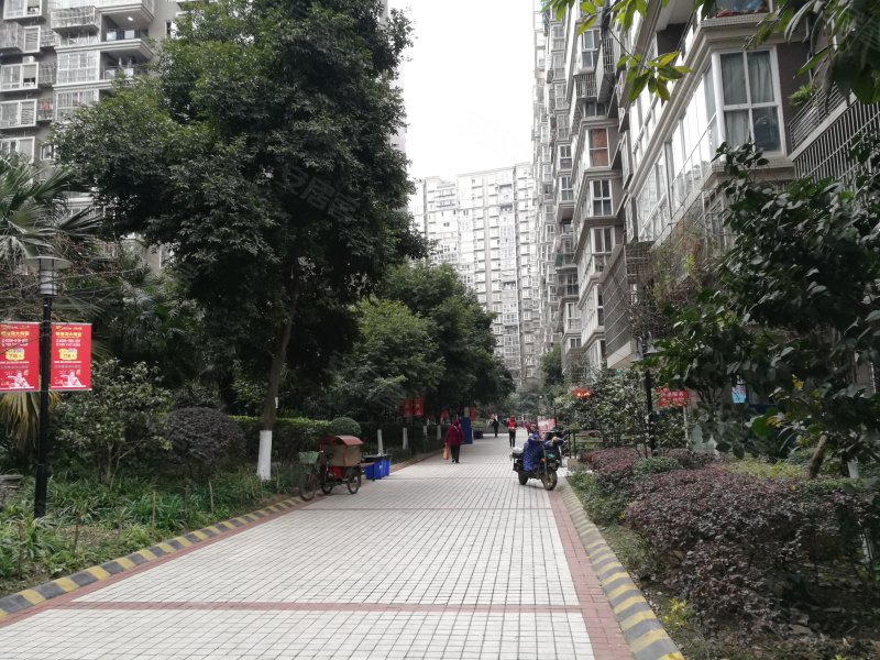 合力达映日荷花,蓉北商贸大道二段168号