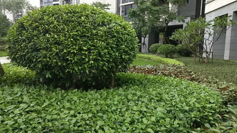 绿岛映月湾花园