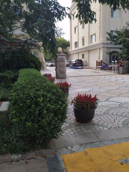 明珠花园(市南),澳门路16-20号-青岛明珠花园(市南)二手房,租房,房价