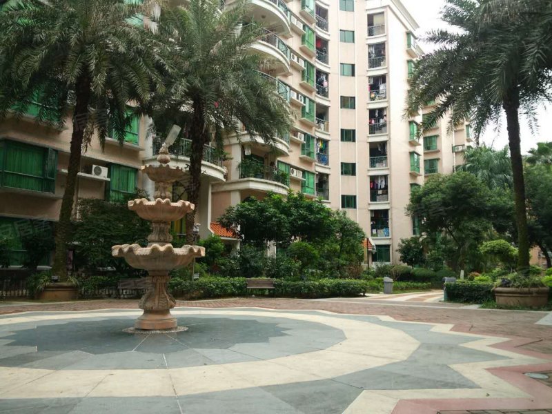 平洲富景花园,南港路11号-上海平洲富景花园二手房,租房,房价-上海