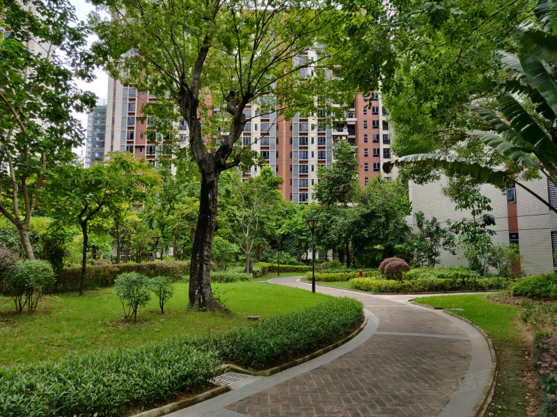 保利罗兰香谷,江朗大道48号-阳江保利罗兰香谷二手房,租房,房价-阳江