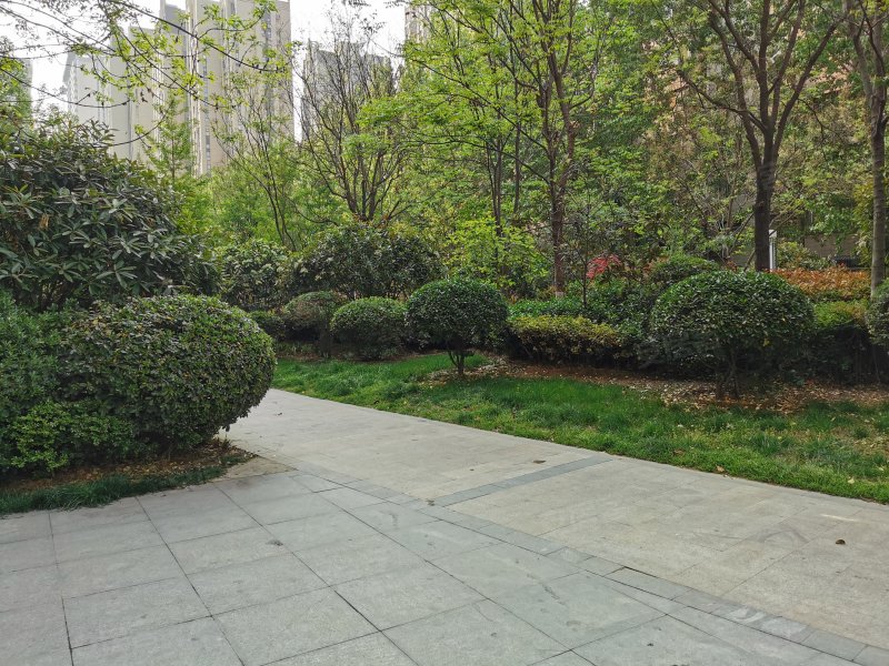 银基王朝(四期)