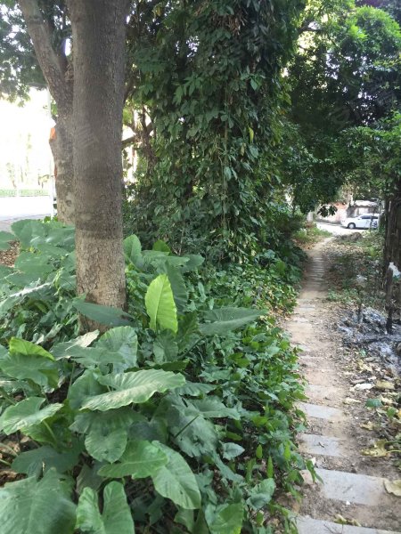 金泰花园,万江大道-东莞金泰花园二手房,租房,房价-东莞安居客