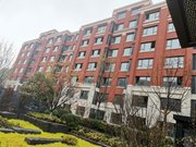 团泊镇小区图片