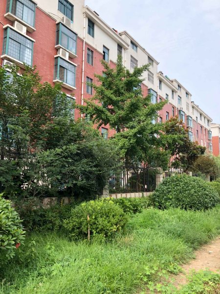 滨河嘉园,钟吾南路-徐州滨河嘉园二手房,租房,房价-徐州安居客