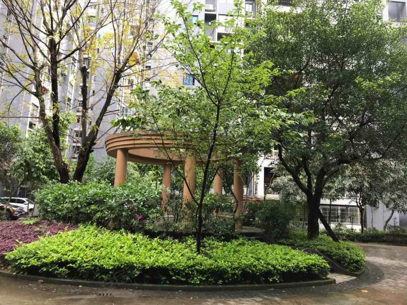 万盛浦辉海棠晓月