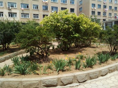 新华小区(庄河)小区图片相册,大连新华小区(庄河)实景图,室外图,小区