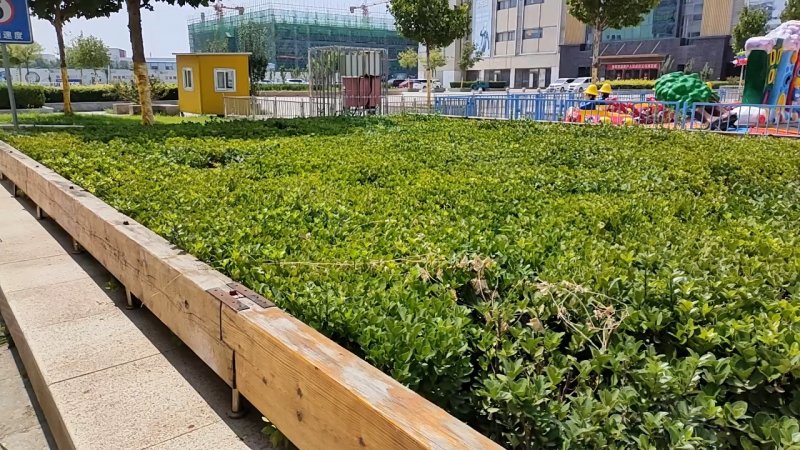 卓尔西悦城,创新道19号-天津卓尔西悦城二手房,租房,房价-天津安居客