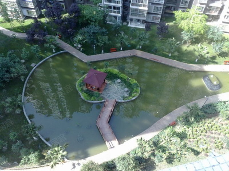 合力达映日荷花,蓉北商贸大道二段168号