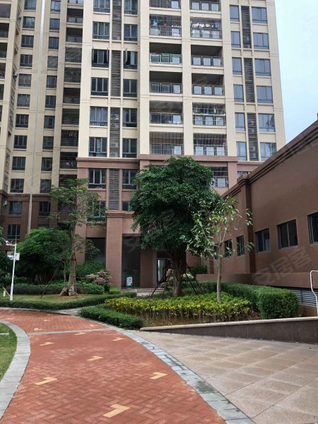 建实帝景金岸b区,海田路128号-湛江建实帝景金岸b区二手房,租房,房价