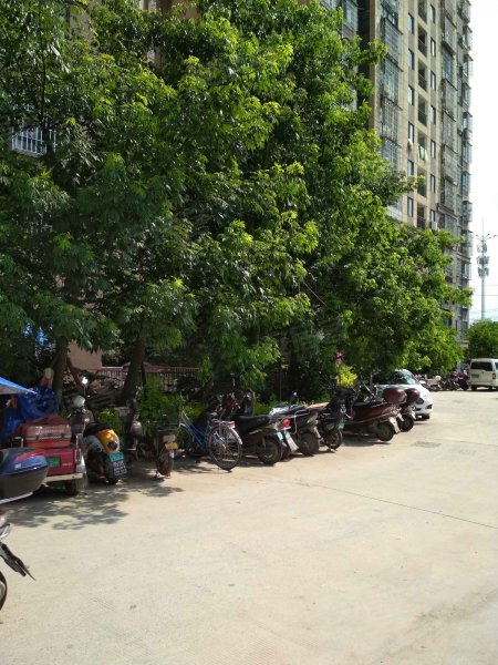 后坂新城二区,秀宅路5号-福州后坂新城二区二手房,租房,房价-福州安居