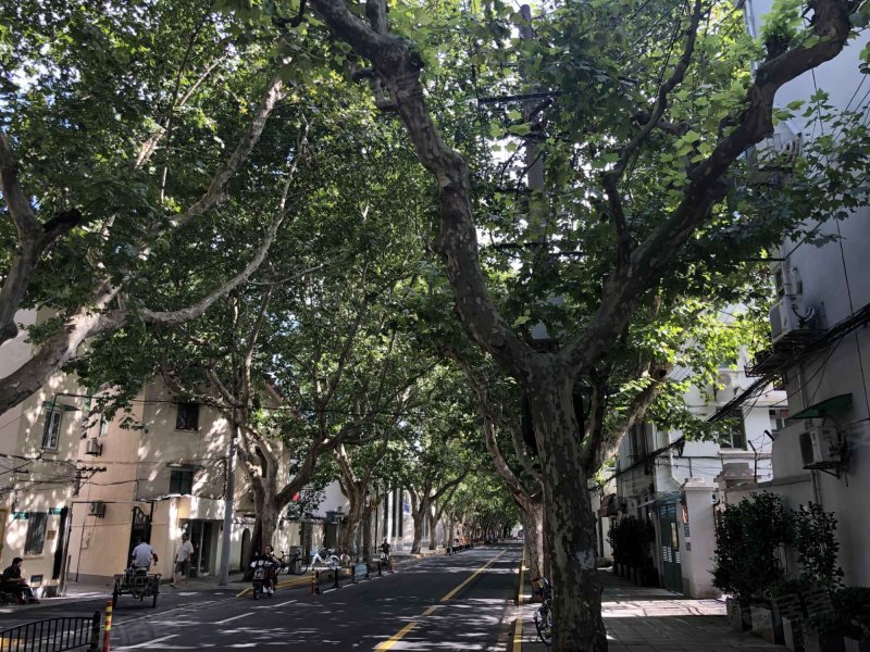 天平路38号小区,天平路38号-上海天平路38号小区二手房,租房,房价