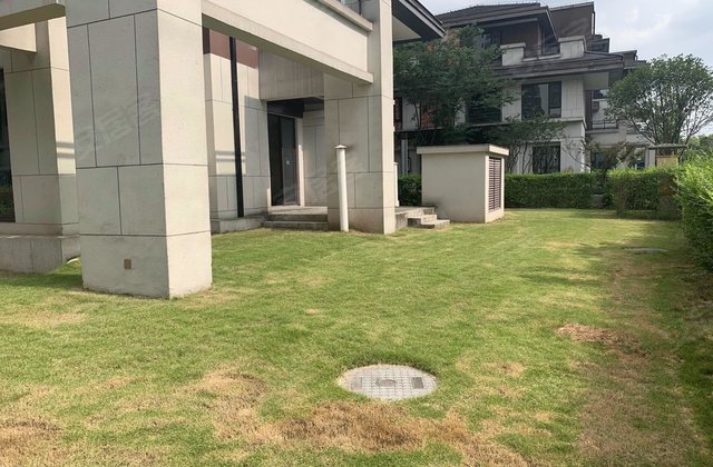 中建御湖壹号御墅(别墅),冬山路7号-重庆中建御湖壹号御墅(别墅)二手