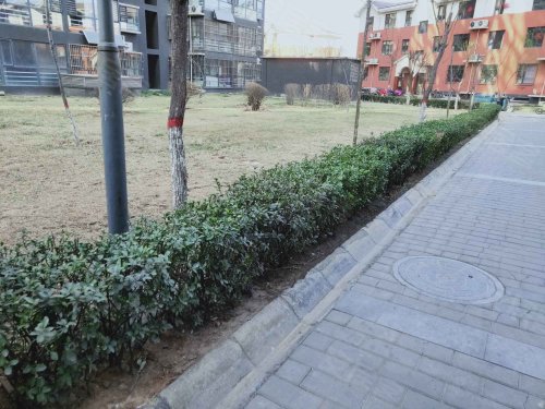 同安花园,同安街429号 - 武安同安花园二手房,租房,房价-武安安居客