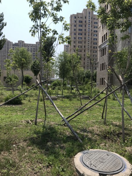 东城领秀华彩园