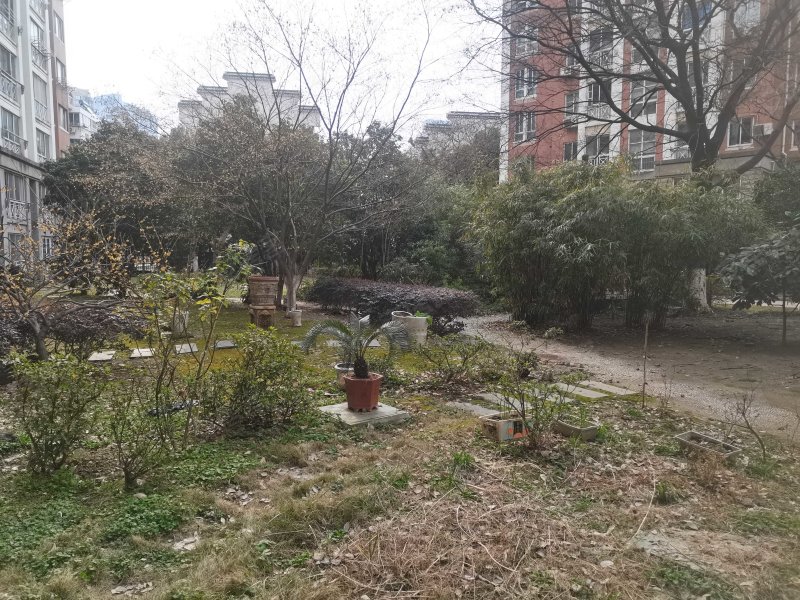 无锡房产网>无锡二手房>梁溪二手房>北大街二手房>金马国际花园>800