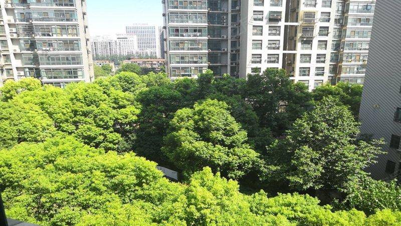 金利明珠花园,马场角路64号-武汉金利明珠花园二手房,租房,房价-武汉