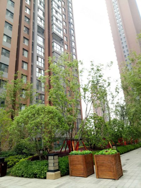 绿都紫荆华庭和园