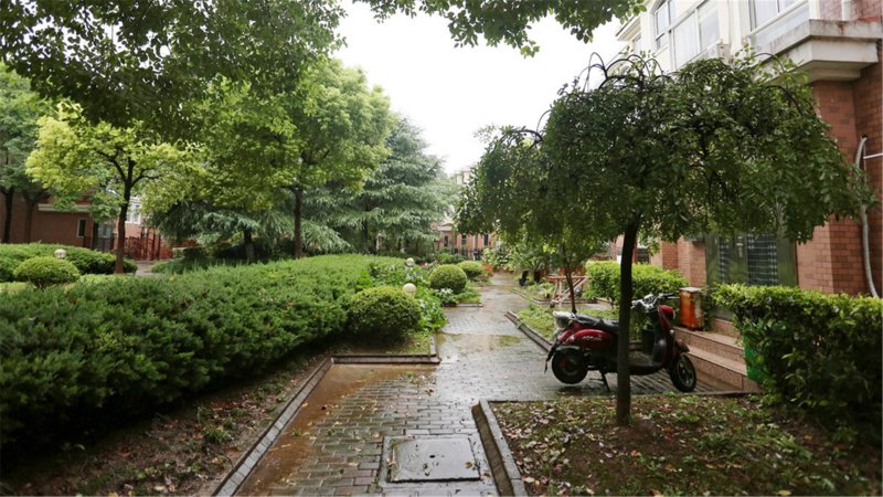 金枫豪苑,虹盛路160弄-上海金枫豪苑二手房,租房,房价-上海安居客